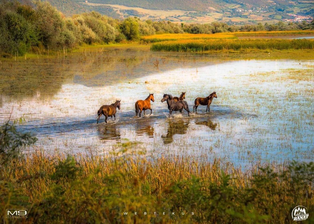 Clisura Dunarii - Casa Giovanni Moldova Veche Exteriör bild